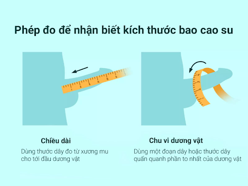 Đo chu vi của dương vật khi nó ở trạng thái cương cứng 