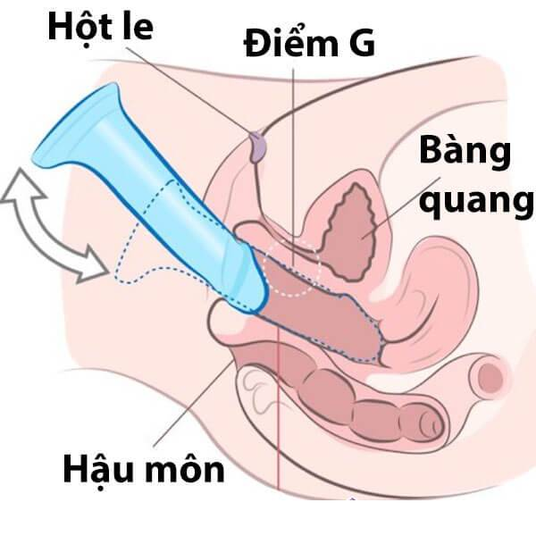 Đút vào rồi nhấn xuống 