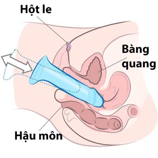 Kỹ thuật đẩy và lút cán