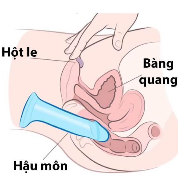 Thực hiện và tận hưởng 