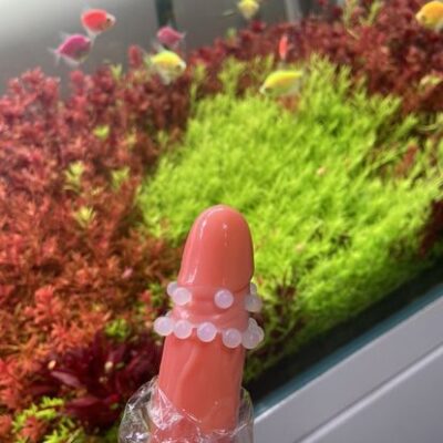 vòng bi silicon chống tuột